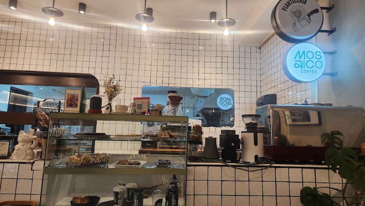 Planticeria Panama City Photos 2